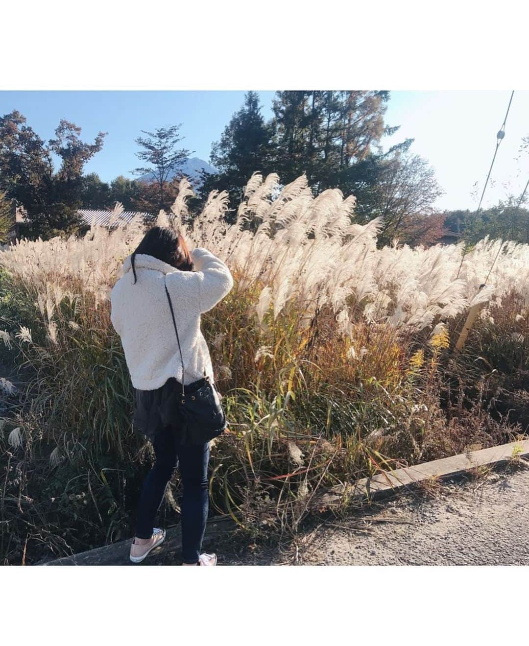 斎藤ちはるさんのインスタグラム写真 - (斎藤ちはるInstagram)「"秋"が撮れました☺️🌾 . 実は写真撮るのが趣味なんですよ📸 . . #ススキ を #撮っている #私 #猫背 すぎ #真剣 すぎ #撮られているの #気付いて #いなさすぎ #休日 は #デニム  #多め . . #斎藤ちはる#テレビ朝日アナウンサー#テレビ朝日#テレ朝#アナウンサー#趣味#カメラ#ミラーレス#一眼#ミラーレス一眼#photo#かめら#カメラ好き#写真#写真好き#すすき#秋#秋晴れ」11月6日 20時04分 - chiharu_saito_ex