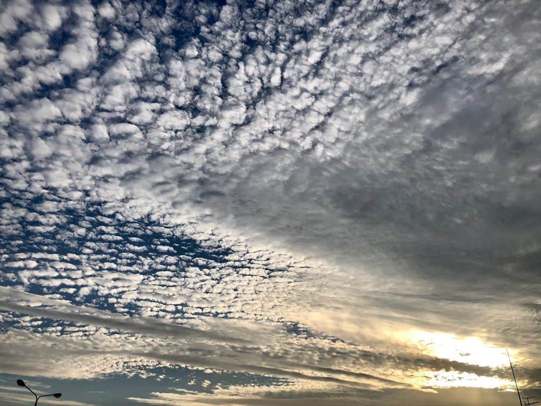実咲凜音さんのインスタグラム写真 - (実咲凜音Instagram)「. 今日の夕方、いい空してた✨  寒くなってきたので 皆さんも身体に気をつけて🥺  私はちなみに昨日も 夜の9時半には寝ていた👀 どんだけ寝るのだろうか。  みりおん。 #うろこ雲 #それとも #ひつじ雲 #寒くなってきた証拠だぁ🤥」11月6日 20時05分 - misaki_rion