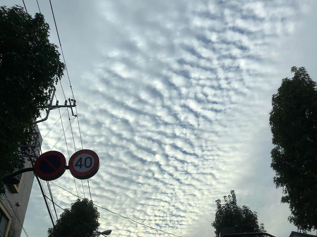 井山三希子さんのインスタグラム写真 - (井山三希子Instagram)「搬入が終わり 不思議な雲を見ながら帰宅」11月6日 20時05分 - nikoyagi