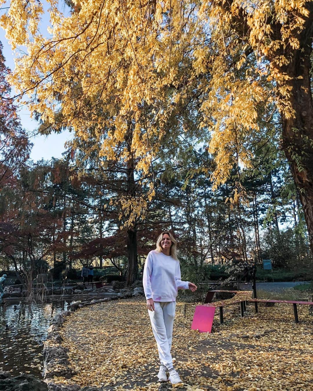 エミリー・シーボームのインスタグラム：「I’m falling for Budapest in Autumn🍁.  #autumn #budpest #yellow #isl2020 #hungary #margitsziget #fall #athlete #iswimleague #internationalswimmingleague」