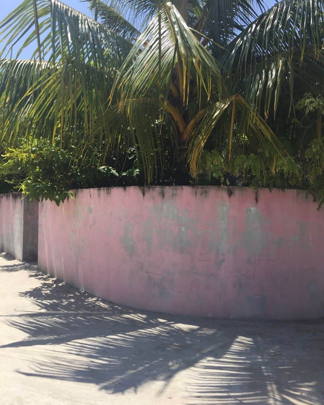フェリシティー・パルマティアーのインスタグラム：「More from my pretty pink wall in the Maldives 💕」