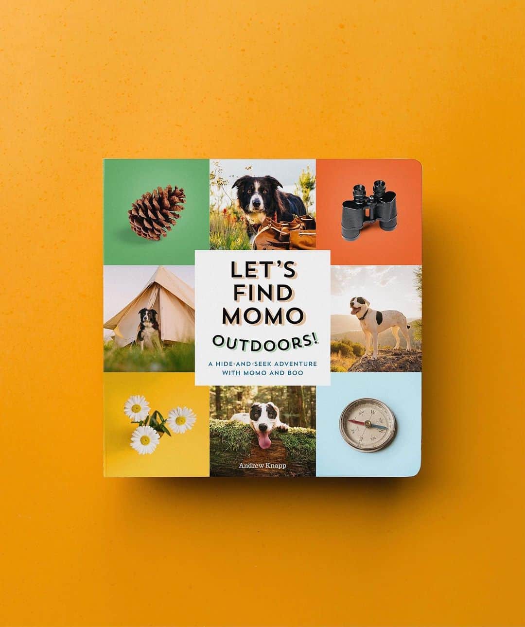 Andrew Knappのインスタグラム：「May 2021! So excited to share this cover with you. So excited that Boo is part of the adventure. So excited when parents tell me their kid’s first word was “Momo”.   This book was so fun to make and so fun to put together. I hope you enjoy it. Link in profile for super early preorders.  🧸 Teddy bear naming contest closes today, there are about 800 names to choose from right now and so many good ones. Thanks to all who entered!」