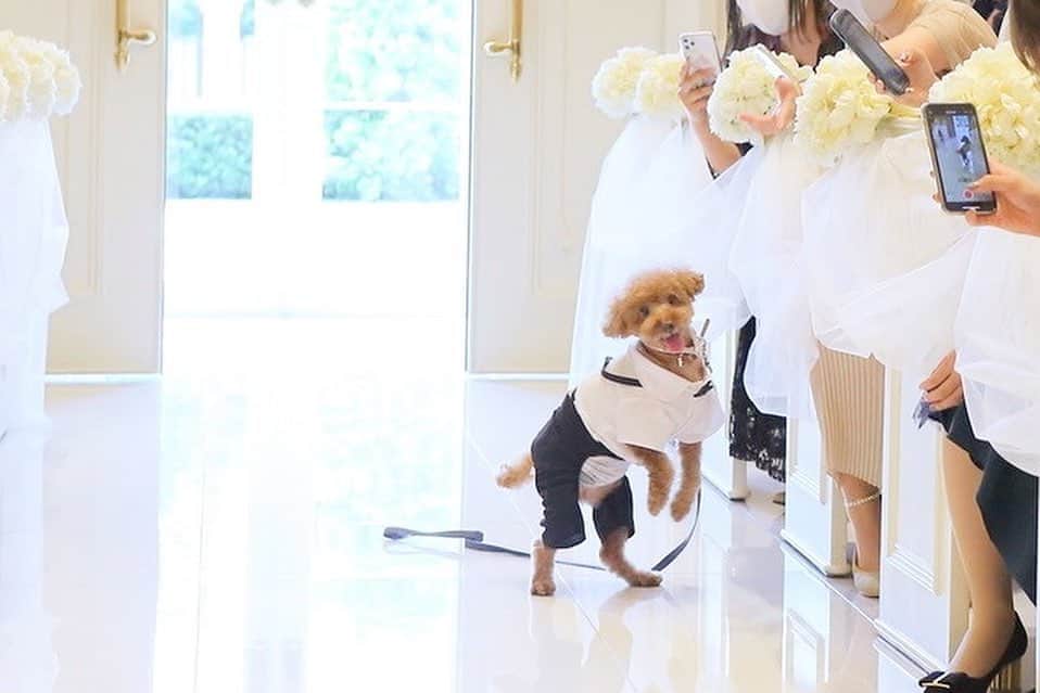 アーカンジェル迎賓館 宇都宮のグルメインスタ