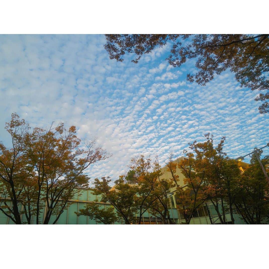 石井美保さんのインスタグラム写真 - (石井美保Instagram)「今日は空がひときわ綺麗だった。 私がずっと背中を見て追いかけている美しくカッコいい師匠と、私の母が今日同じ誕生日。両方お祝いできて幸せな1日。枠のサイズ間違えたのが残念。」11月6日 21時59分 - miho_ishii
