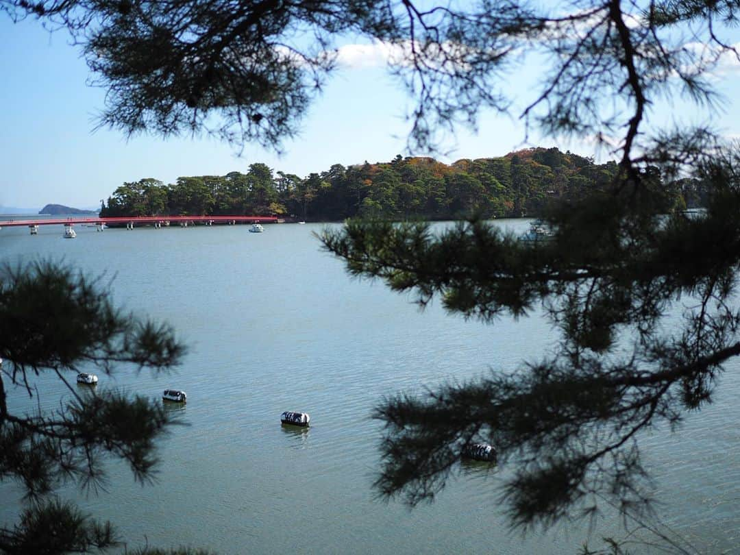 今井安紀のインスタグラム：「A scenery in Matsushima; one of the three most scenic spots in Japan. If you wanna go there, it takes about 40 min. by train from Sendai station. It is not so far. (No.1-3) I had an experience of roasting Sasakama (bamboo-leaf-shaped fish paste) workshop at Matsukama shop. A fleshly roasted Sasakama was so delicious. (No.4) After that, I went back to Sendai station and ate sushi~~~🍣Yummy!!(No.5)  ひっさびさに松島へ。電車で40分くらいで来れた。近い。最後に来た時はまだ東北に住んでいて、高校の仲間と車で来たからわからなかった。懐かしい。(No.1-3) 小腹が空いて焼き蒲鉾体験。仙台市民はよく遠足で体験するけど、焼き立て美味しいんだよ〜！松島に行ったらマスト。(No.4) 仙台駅に戻ってお寿司タイム🍣仙台駅、一人でも入れるお寿司屋さんかなりあるからぼっち旅でも大丈夫。困ったらすし通りに行けば良い。今回行ったのは駅構内でも別のところだけど(タグ付けた)。ネタがプリプリに大振りで新鮮で大満足。ぺろっと食べた。お値段も優しいです。(No.5)  Camera : No.1-4 Olympus PEN E-PL9 No.5 iPhone  #olympuspenepl9 #noedit #nofilter #photolover #latergram #trip #travel #sendai #matsushima #sasakama #sushi  #オリンパスPEN #加工なし #撮って出し #写真好きな人と繋がりたい #時差スタグラム #旅 #旅行 #仙台 #松島 #松島海岸 #日本三景 #日本三景松島 #松かま #笹かま #笹かまぼこ #お寿司 #仙令鮨 #お寿司ランチ」