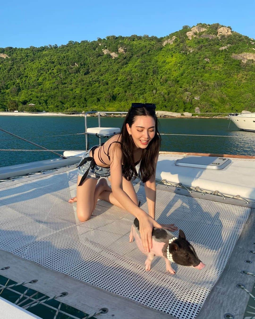 マイ・ダーウィカーのインスタグラム：「Animal love me 🤪🤣🐖🐷ทำไมน้องไม่ยอมถ่ายรูปกับพี่ 555 ... ขอบคุณพี่ๆ @bluevoyagethailand ดูแลดาวิดีมาก เลิฟฟฟฟ #ดาวินักท่องเที่ยว #mailoveanimal 🤭💕 #คิดถึงเรือยอร์ชคิดถึงบลูโวยาจ #BlueVoyageYachtLife #BlueVoyageThailand」