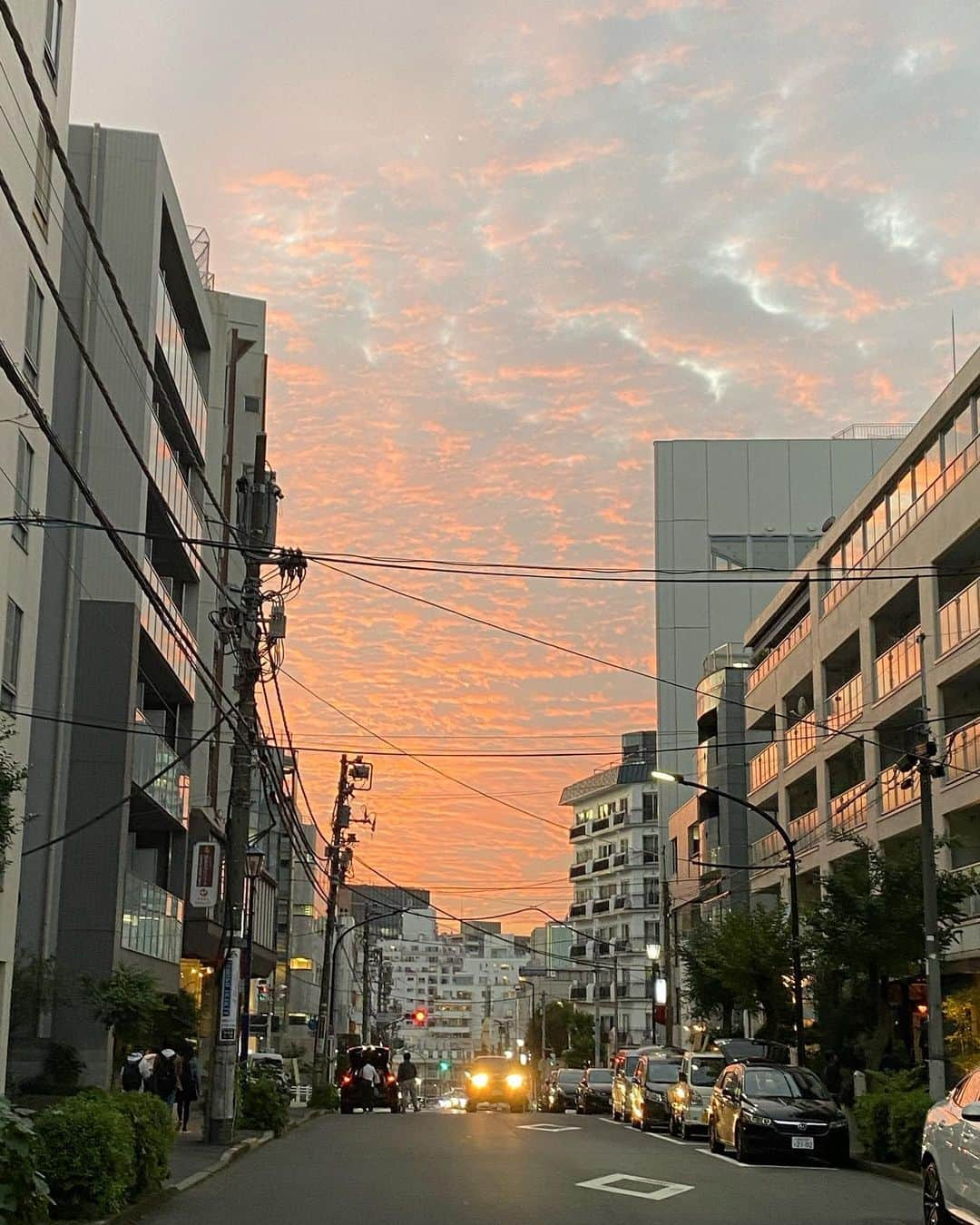 大竹しのぶさんのインスタグラム写真 - (大竹しのぶInstagram)「今日は休演日、身体のメンテナンスと美容院に久しぶりに行きました。帰りに見た空。 明日も一日頑張れますように。 みんなが無事でありますように。 早く元の世界に戻れますように。その日まで何とか劇場で、芝居を続けてゆけますように。 #夕焼け #大竹しのぶ」11月6日 22時27分 - shinobu717_official