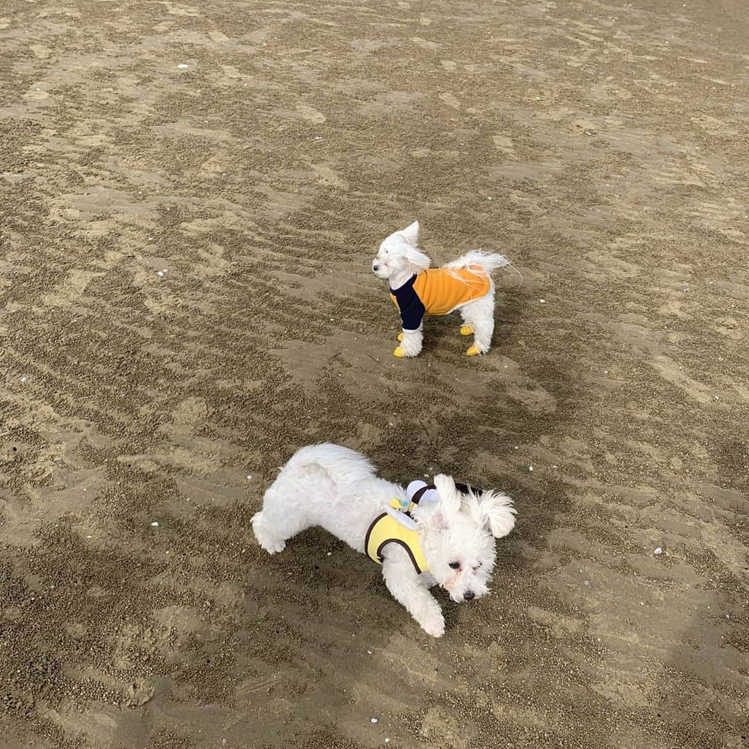 ホ・ジョンミンのインスタグラム：「#개자식훈련병 #개쉑훈련병」