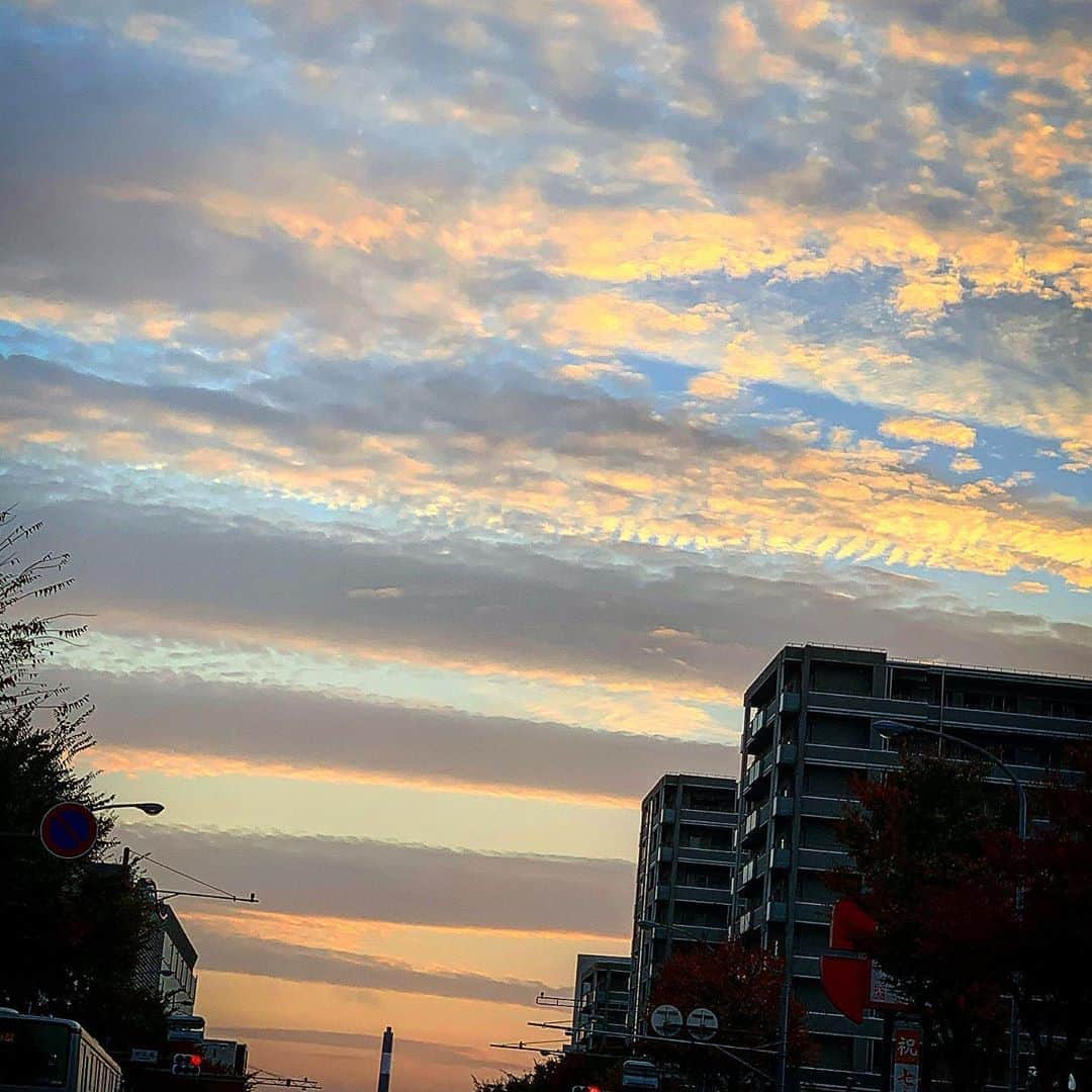 SATOKOさんのインスタグラム写真 - (SATOKOInstagram)「今日は空がしましまだった。」11月6日 22時40分 - fc_satoko