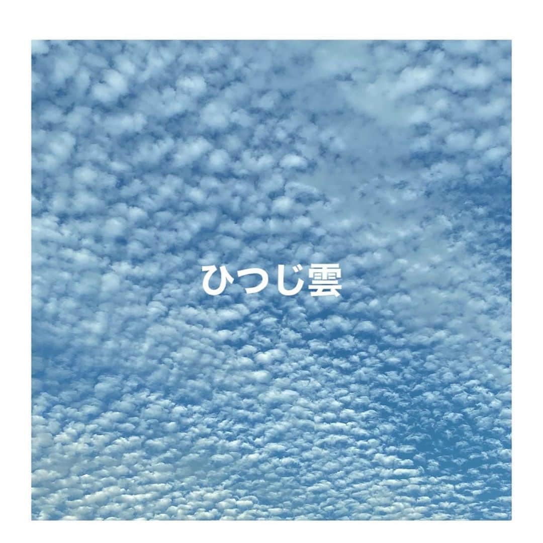 松本伊代さんのインスタグラム写真 - (松本伊代Instagram)「昨日は名古屋で「スイッチ！」生放送でしたー📺  そして今日の空はすご〜いひつじ雲〜☁️☁️☁️ 数えてる間に眠っちゃいそう💤😴  #スイッチ #saaageboutique #ひつじ雲 #おやすみなさい」11月6日 22時55分 - iyo14_official