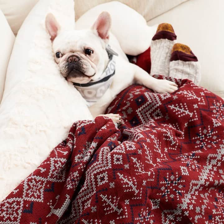 ロック&リパブリックのインスタグラム：「Cuddle up with your shopping buddy because Black Friday Deals are here early! Shop online and try our fast and free store pickup. #Kohls」