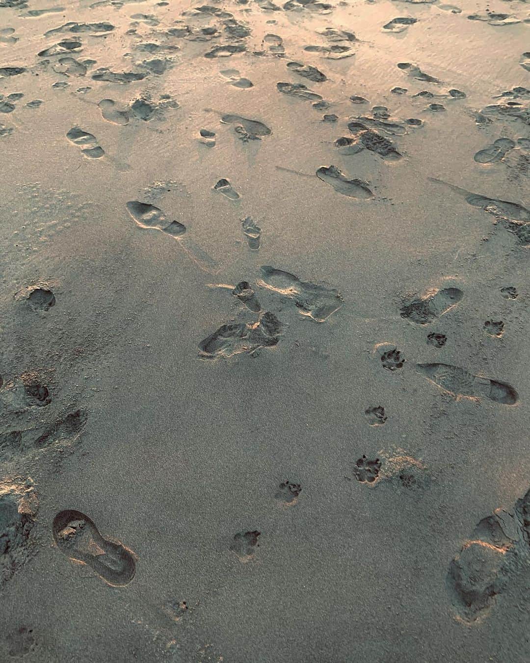澤田友美さんのインスタグラム写真 - (澤田友美Instagram)「. 足元の砂浜を見て思った。 これが宇宙🌌 . . . #alchemist #sand #universe」11月6日 23時25分 - tomomi__sawada