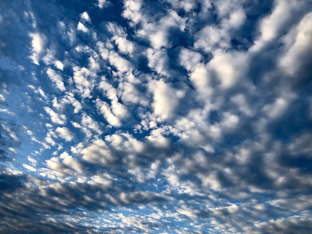 ホリエアツシさんのインスタグラム写真 - (ホリエアツシInstagram)「紅葉と鱗雲なんだね🍁☁️ #もみじ #うろこ雲」11月6日 23時26分 - a.horie