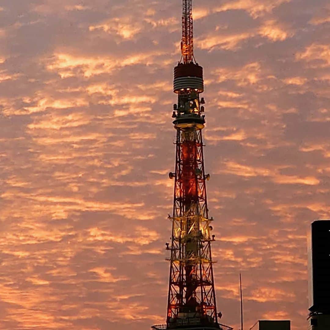 林家たい平さんのインスタグラム写真 - (林家たい平Instagram)「今日の東京タワーです」11月6日 23時53分 - hayashiyataihei.official