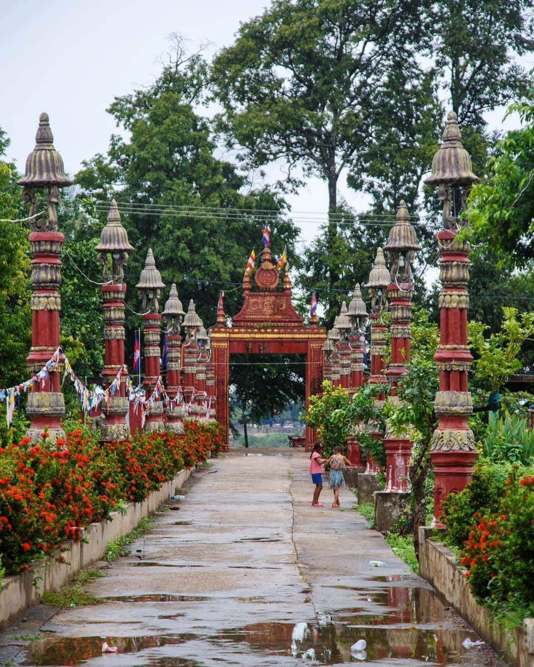 Shunsuke Miyatakeのインスタグラム：「After the pouring rain, Kratie, Cambodia」