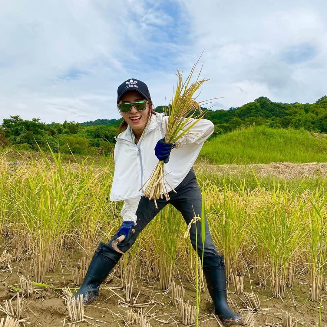 松井絵里奈さんのインスタグラム写真 - (松井絵里奈Instagram)「1ヶ月前の稲刈り記録🌾  自分たちが手植えで植えた 自然栽培のお米。 新米の味は格別でした。  種🌱の大切さも 教えていただきました。  農作業。生命をつなぐ尊いお仕事です🙏🏻✨  #自然栽培米 #愛媛県 #伊予市 #新米 #種が大切 #松井絵里奈」11月7日 0時04分 - erina74xx