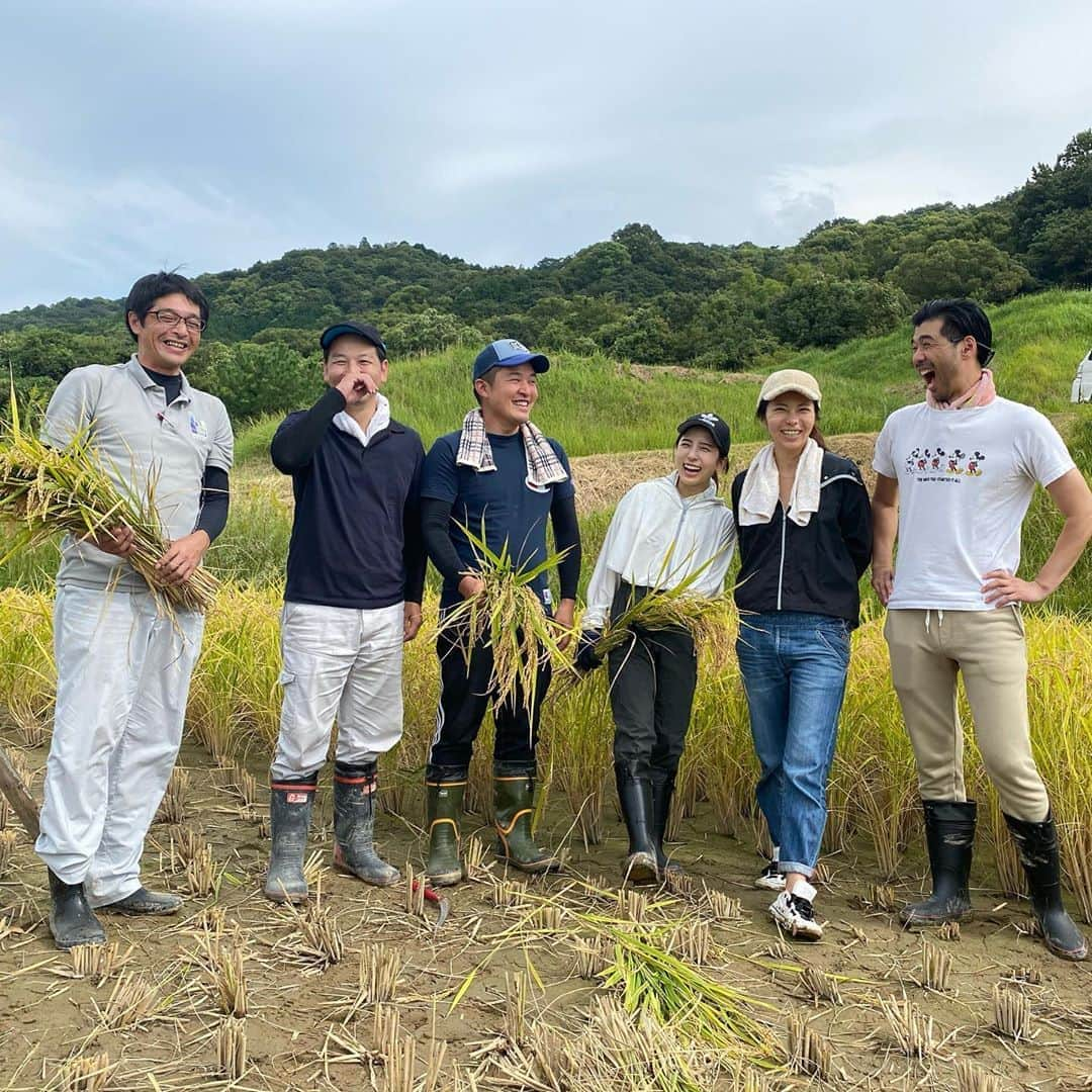 松井絵里奈さんのインスタグラム写真 - (松井絵里奈Instagram)「1ヶ月前の稲刈り記録🌾  自分たちが手植えで植えた 自然栽培のお米。 新米の味は格別でした。  種🌱の大切さも 教えていただきました。  農作業。生命をつなぐ尊いお仕事です🙏🏻✨  #自然栽培米 #愛媛県 #伊予市 #新米 #種が大切 #松井絵里奈」11月7日 0時04分 - erina74xx