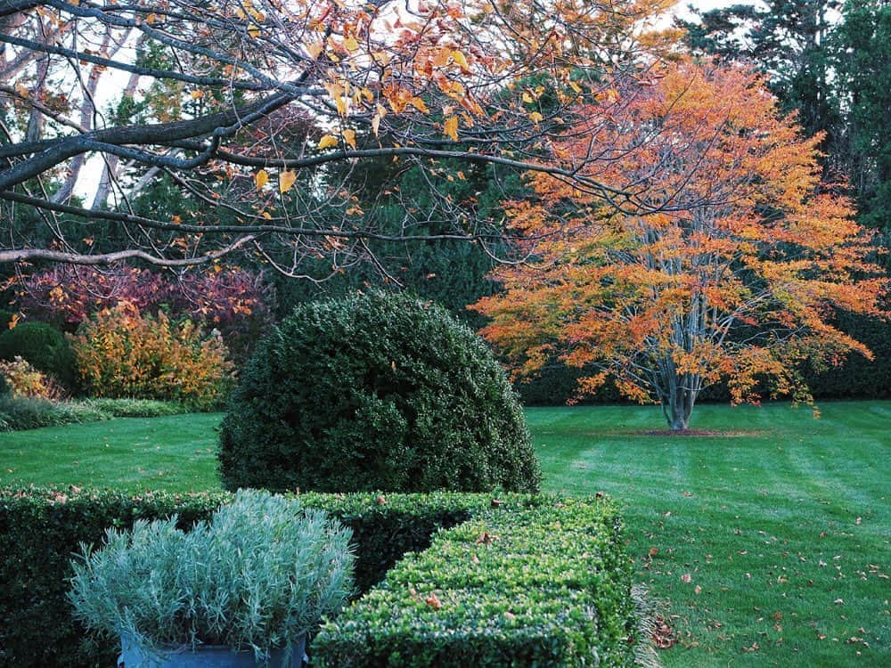 アイナ・ガーテンさんのインスタグラム写真 - (アイナ・ガーテンInstagram)「The colors and textures of autumn in the garden just knock me out.  #breathe」11月7日 0時33分 - inagarten