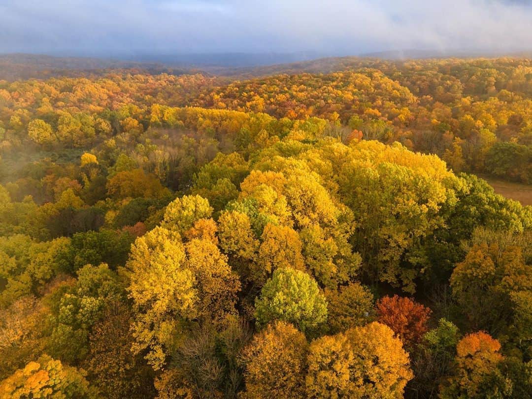 National Geographic Travelさんのインスタグラム写真 - (National Geographic TravelInstagram)「Photos by Michael Yamashita @yamashitaphoto / Though New England gets most of the attention, fall foliage in western New Jersey has reached its peak. Here’s what it looked like last week from the top of the hill in Chester. #autumn #fallcolors #fall #NewJersey #Chester」11月7日 0時39分 - natgeotravel
