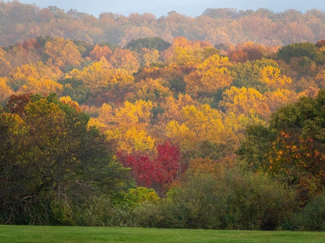 National Geographic Travelさんのインスタグラム写真 - (National Geographic TravelInstagram)「Photos by Michael Yamashita @yamashitaphoto / Though New England gets most of the attention, fall foliage in western New Jersey has reached its peak. Here’s what it looked like last week from the top of the hill in Chester. #autumn #fallcolors #fall #NewJersey #Chester」11月7日 0時39分 - natgeotravel