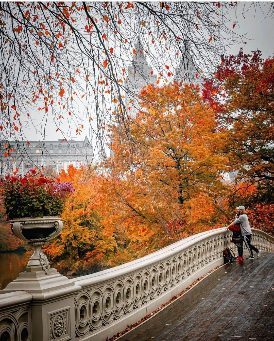 Wonderful Placesさんのインスタグラム写真 - (Wonderful PlacesInstagram)「We love fall in New York ✨❤️❤️😍😍✨ . Pictures by ✨✨@212sid✨✨ #wonderful_places for a feature ❤️🍁」11月7日 0時40分 - wonderful_places