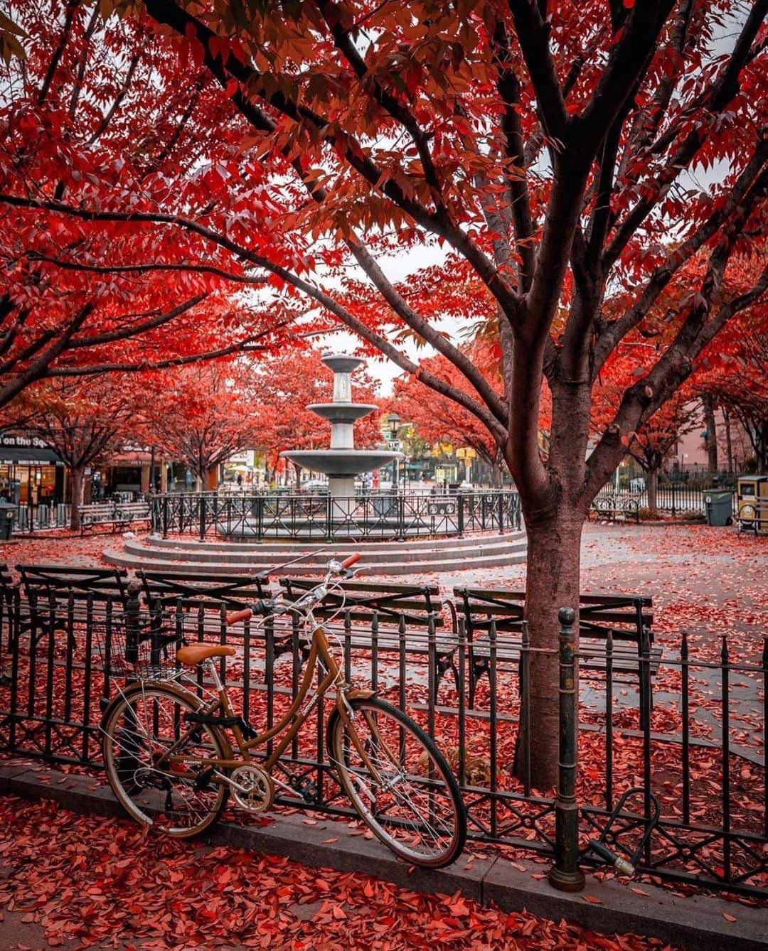 Wonderful Placesさんのインスタグラム写真 - (Wonderful PlacesInstagram)「We love fall in New York ✨❤️❤️😍😍✨ . Pictures by ✨✨@212sid✨✨ #wonderful_places for a feature ❤️🍁」11月7日 0時40分 - wonderful_places