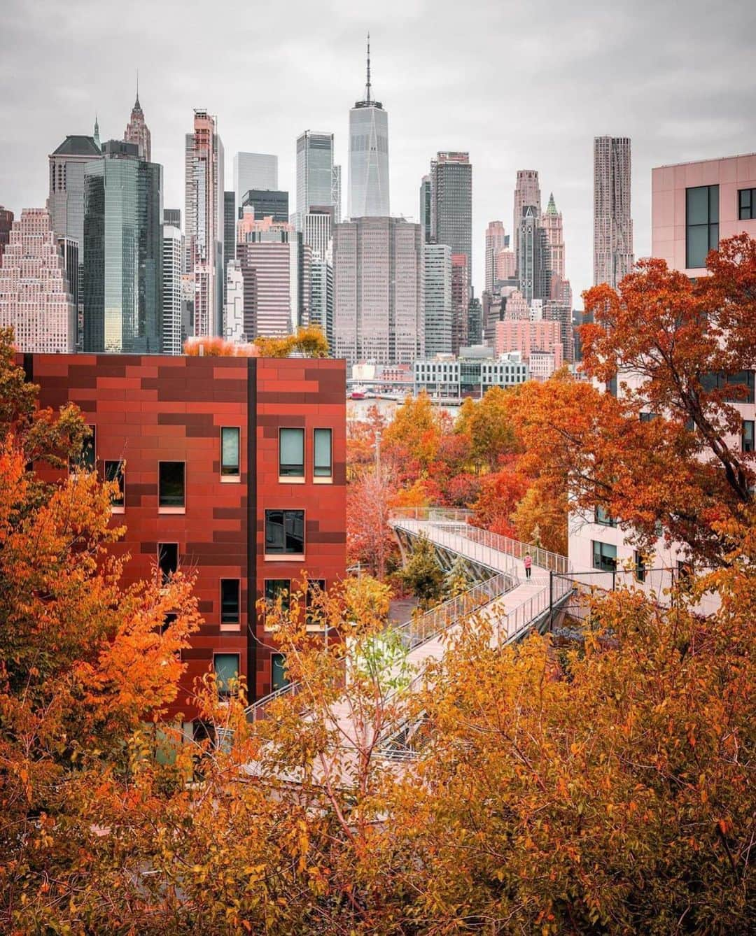 Wonderful Placesさんのインスタグラム写真 - (Wonderful PlacesInstagram)「We love fall in New York ✨❤️❤️😍😍✨ . Pictures by ✨✨@212sid✨✨ #wonderful_places for a feature ❤️🍁」11月7日 0時40分 - wonderful_places