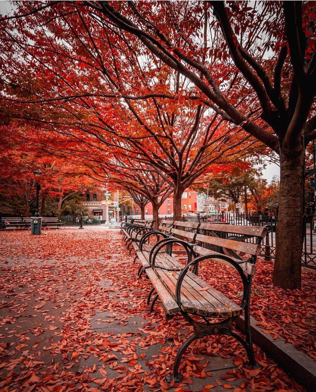 Wonderful Placesさんのインスタグラム写真 - (Wonderful PlacesInstagram)「We love fall in New York ✨❤️❤️😍😍✨ . Pictures by ✨✨@212sid✨✨ #wonderful_places for a feature ❤️🍁」11月7日 0時40分 - wonderful_places