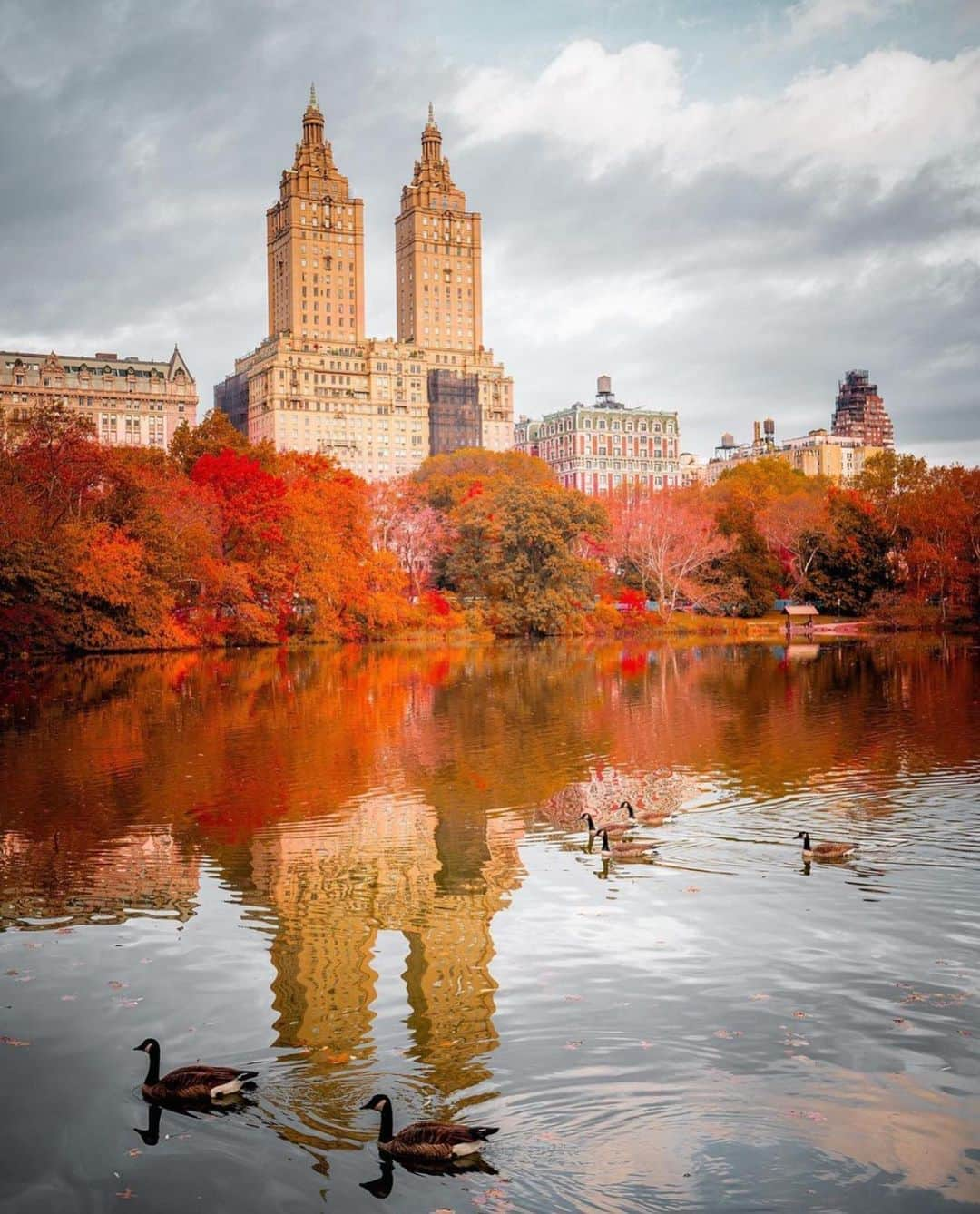 Wonderful Placesさんのインスタグラム写真 - (Wonderful PlacesInstagram)「We love fall in New York ✨❤️❤️😍😍✨ . Pictures by ✨✨@212sid✨✨ #wonderful_places for a feature ❤️🍁」11月7日 0時40分 - wonderful_places