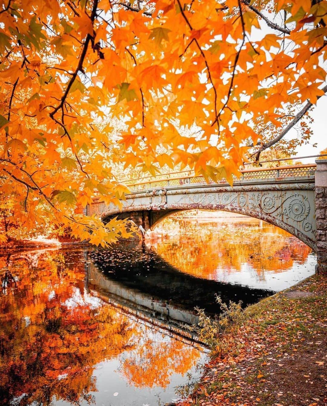 Wonderful Placesさんのインスタグラム写真 - (Wonderful PlacesInstagram)「We love fall in New York ✨❤️❤️😍😍✨ . Pictures by ✨✨@212sid✨✨ #wonderful_places for a feature ❤️🍁」11月7日 0時40分 - wonderful_places