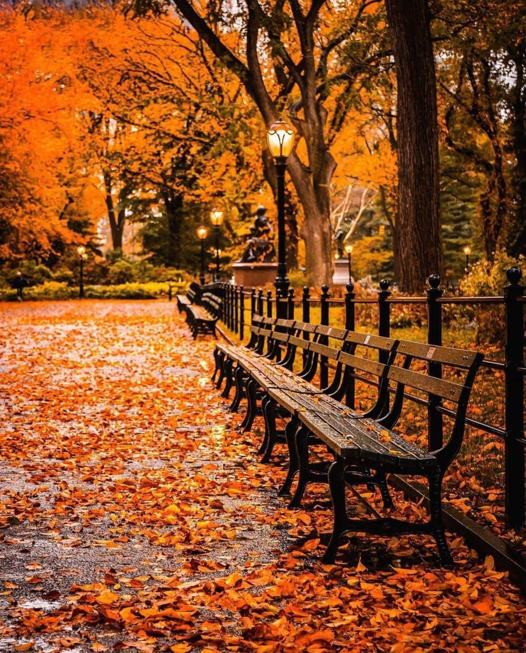 Wonderful Placesさんのインスタグラム写真 - (Wonderful PlacesInstagram)「We love fall in New York ✨❤️❤️😍😍✨ . Pictures by ✨✨@212sid✨✨ #wonderful_places for a feature ❤️🍁」11月7日 0時40分 - wonderful_places