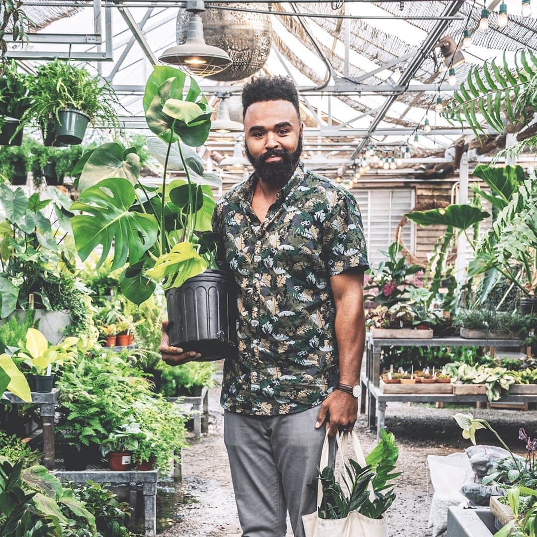 ニューヨーク植物園のインスタグラム：「Now with a new date, find inspiration in the work of author, artist, and plant stylist @hiltoncarter, an advocate for seeing plants as living beings worthy of your passion, time, and attention. . In our online talk on November 10, you'll learn about the best plants for particular rooms, hear Hilton's top 10 favorites right now, and find out how to care for them. Hit the link in our bio to register now. . Photo © Aaron Keeny #plantlove #nybgathome @rylandpetersandsmall」