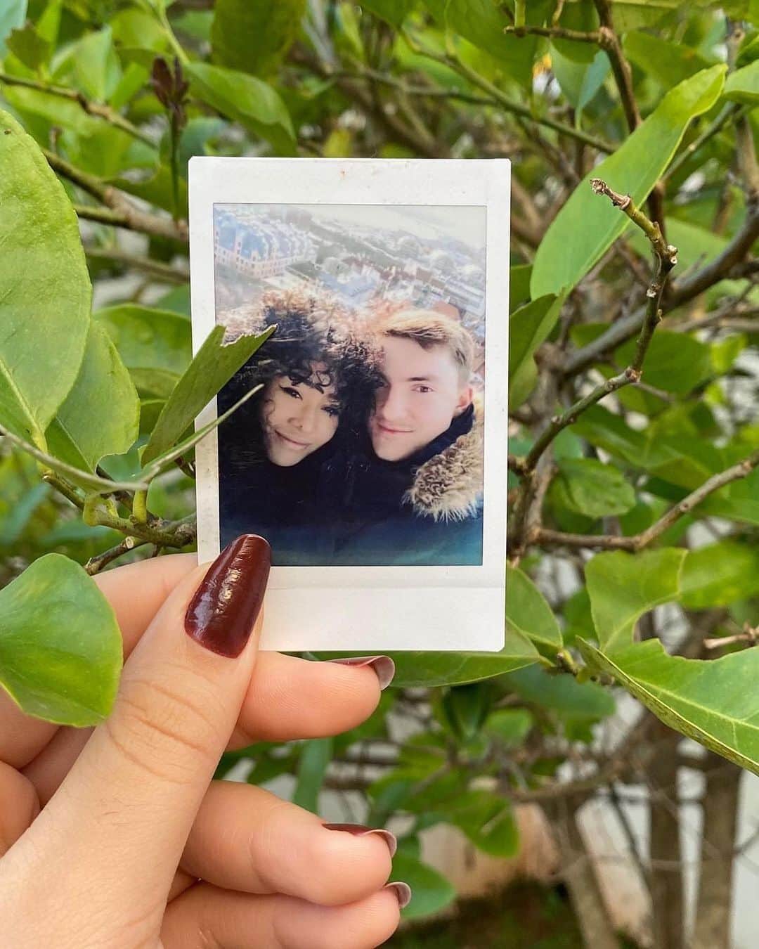 Fujifilm Instax North Americaさんのインスタグラム写真 - (Fujifilm Instax North AmericaInstagram)「We can’t be-leaf how gorgeous these pics are 🍃😍 Big shoutout to Dani and her gorgeous plants, city views, and amigos! #Give10⁠⠀ .⁠⠀ .⁠⠀ .⁠⠀ #dontjusttakegive⁠⠀ #givelove⁠⠀ #minifilm⁠⠀ #plants⁠⠀ #nyc」11月7日 1時56分 - fujifilm_instax_northamerica