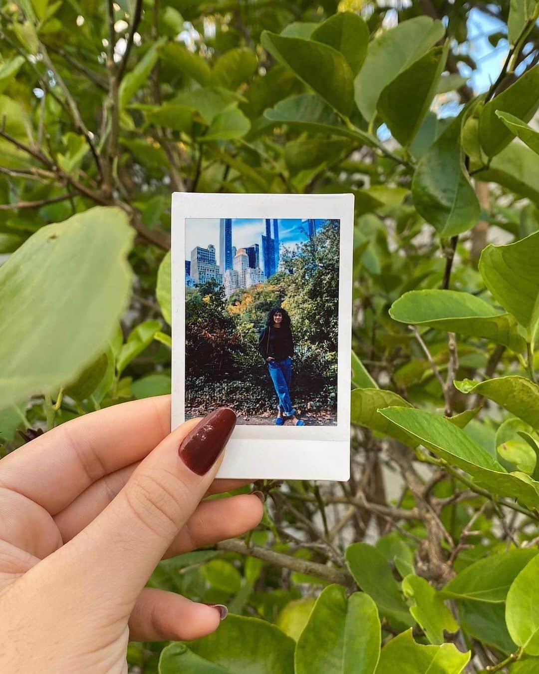 Fujifilm Instax North Americaさんのインスタグラム写真 - (Fujifilm Instax North AmericaInstagram)「We can’t be-leaf how gorgeous these pics are 🍃😍 Big shoutout to Dani and her gorgeous plants, city views, and amigos! #Give10⁠⠀ .⁠⠀ .⁠⠀ .⁠⠀ #dontjusttakegive⁠⠀ #givelove⁠⠀ #minifilm⁠⠀ #plants⁠⠀ #nyc」11月7日 1時56分 - fujifilm_instax_northamerica