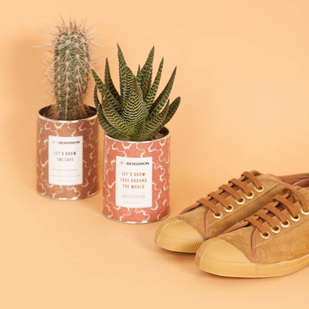 ベンシモンのインスタグラム：「BENSIMON X @aycactus 🌵💫 Notre collab’ qui tombe à pic ! Pour cette première collaboration exclusive nous avons imaginé avec la marque deux plantes qui arborent fièrement un des motifs de notre collection en édition limitée ! ✍️ Le petit plus qui fait craquer ? Une plante cultivée sainement en Union Européenne, une boîte métallique fabriquée sur mesure en France et une production finale à Paris. 🧡 C’est le moment de commander votre nouvel meilleur ami du confinement ! 😊 (disponible sur notre site internet) #bensimon #bensimonxaycactus #cactus #deco #decobensimon」