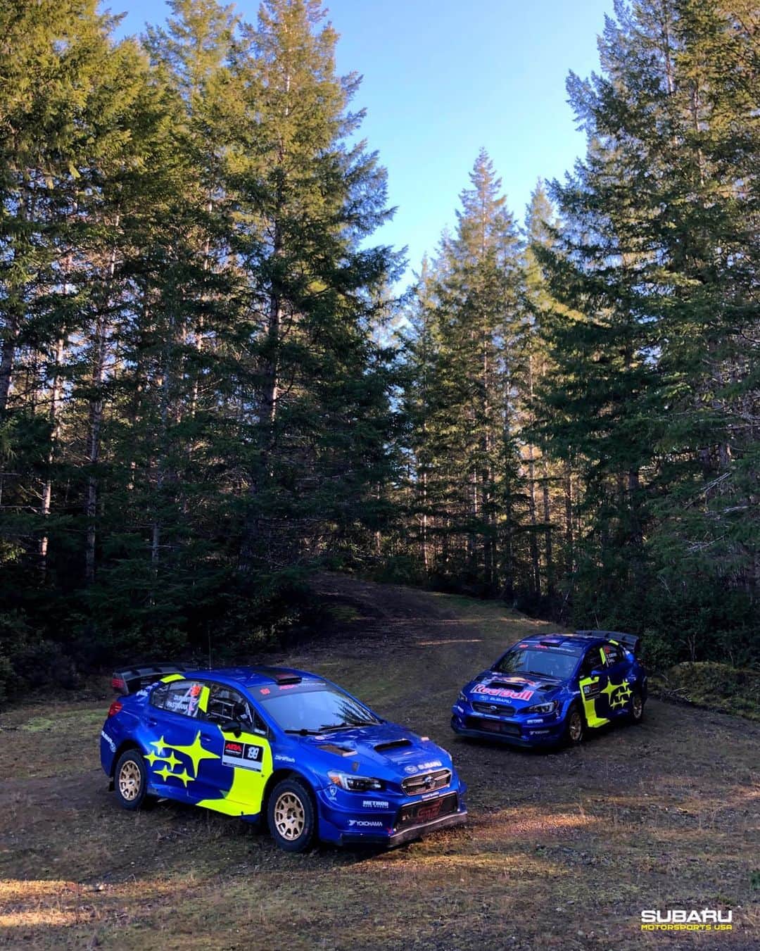 Subaru Rally Team USAさんのインスタグラム写真 - (Subaru Rally Team USAInstagram)「The woods are calling..🌲 @olympusrally, here we come!   @travispastrana @rhianongelsomino @brandonsemenuk @john55sp @ara_rally @subaru_usa」11月7日 2時38分 - subarumotorsportsusa