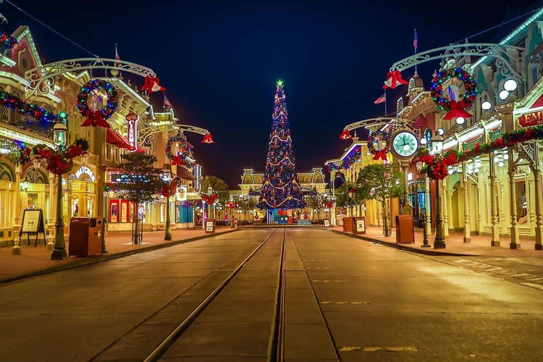 Walt Disney Worldさんのインスタグラム写真 - (Walt Disney WorldInstagram)「The halls are decked at Magic Kingdom Park. 🎄 Get a closer look on the @DisneyParksBlog! #DisneyMagicMoments✨」11月7日 3時18分 - waltdisneyworld