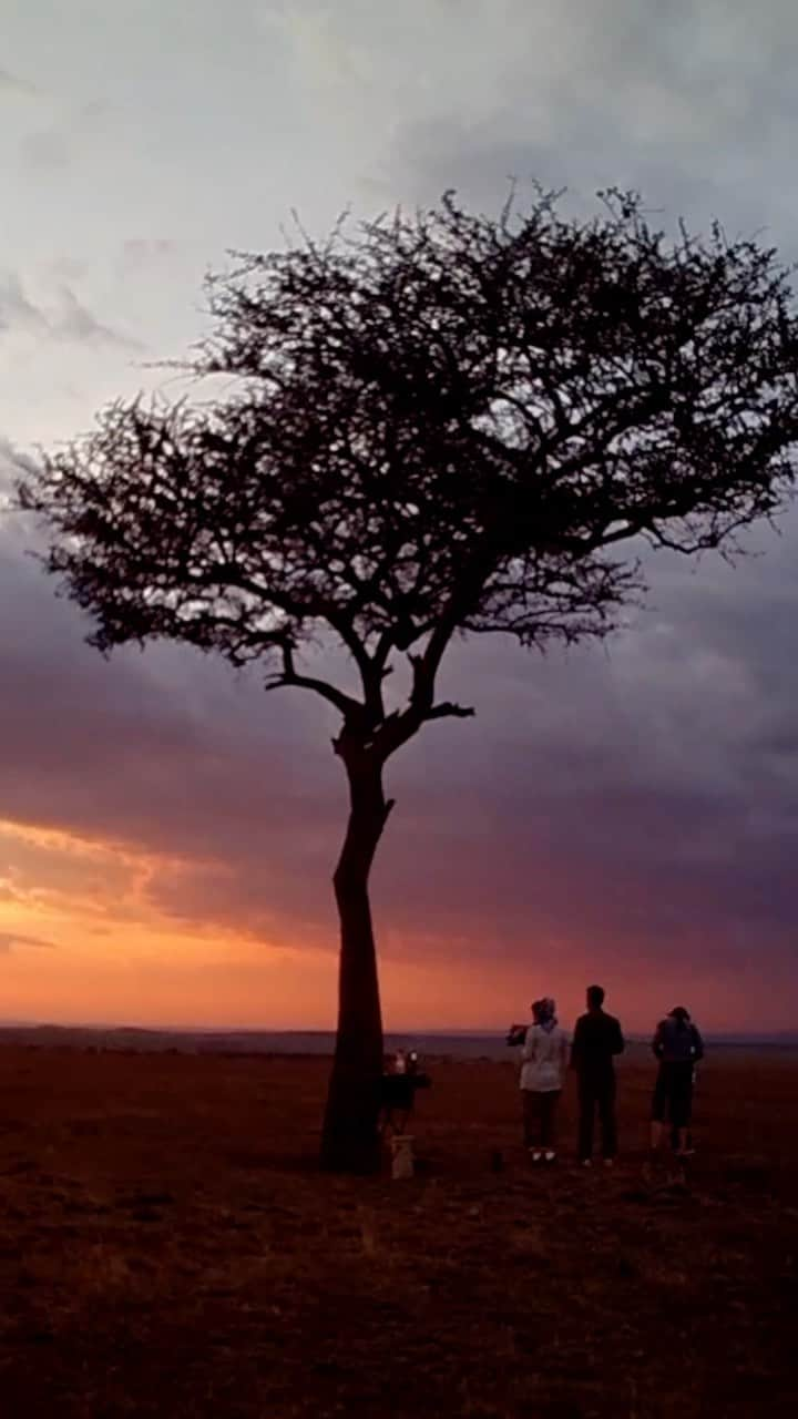 C. Lawrence Greavesのインスタグラム：「Shot on @opkix  I spent a great part of my childhood in Africa. My Dad moved from #england to #kenya where this video was shot in #masaimara and he would have seen these same beautiful animals and vistas 70 years ago.  To see the amazing view point of the talented @paoloparazzi and @africa.born travel co. was a real sense of pride and accomplishment for us to know that our tiny cameras can capture this beauty, in a stylish & hands free way.  Who’s ready to go #safari ? Thx again to our colleagues at @wild.ark for connecting the dots 🙌🏼」