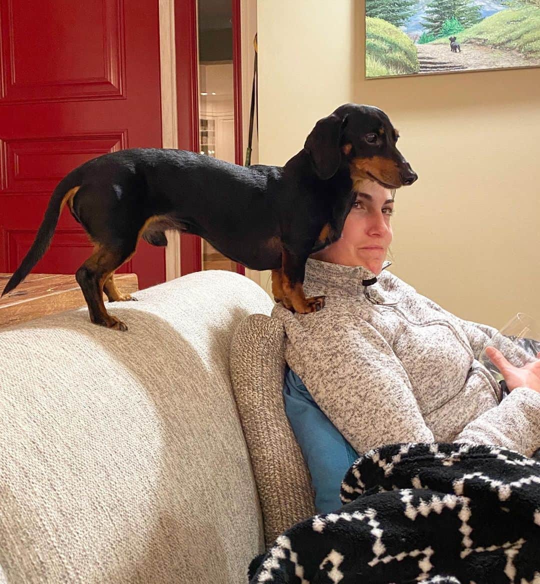 Crusoe the Celebrity Dachshundのインスタグラム：「“My passive aggressive means of demanding a cookie..” ~ Crusoe」