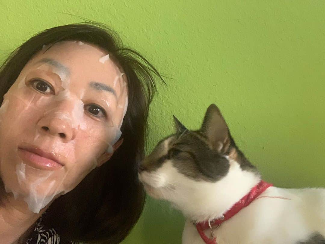 飯島寛子さんのインスタグラム写真 - (飯島寛子Instagram)「ソラくんも　ママのパックに　呆れ顔  朝からパック！ コロナ禍にConjuのprincess lifting mask sheetもよく売れたという理由がわかります！ #conju #mask #ハワイ暮らし　#朝活　#猫のいる暮らし」11月7日 4時16分 - hirokoiijima