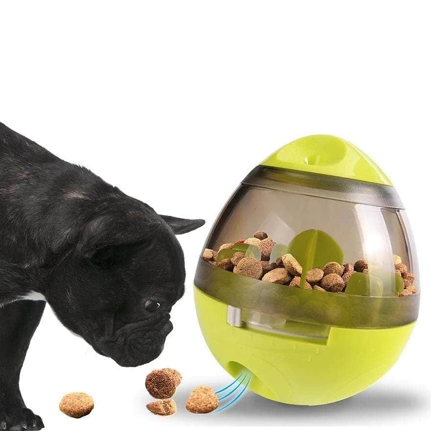 French Bulldogさんのインスタグラム写真 - (French BulldogInstagram)「Frenchie World® IQ Treat ball interactive food egg 🥚🥚🥚 Exclusive in @frenchie.world shop 🛍🛍🛍 👉 LINK IN BIO 🔝 . . . . . #frenchie #frenchies #französischebulldogge #frenchbulldog #frenchbulldogs #dog #dogsofinstagram #frenchieworld #bully #bulldog #bulldogfrances #フレンチブルドッグ #フレンチブルドッグ #フレブル #ワンコ #frenchiesgram #frenchbulldogsofinstagram #ilovemyfrenchie #batpig #buhi #squishyfacecrewbulldog」11月7日 4時35分 - frenchie.world