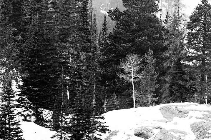 NikonUSAさんのインスタグラム写真 - (NikonUSAInstagram)「Here are a few favorites from #NikonAmbassador @DebSandidge’s snowy last November near Boulder and Bear Lake in Rocky Mountain National Park, CO. Photographed with the Nikon Z 7 using the in-camera creative Graphite Picture Control for high contrast B&W imagery. ☁️📷❄️🤍  #Nikonnofilter #nikonambassador #november #travelphotography #blizzard #snow #boulder」11月7日 5時06分 - nikonusa