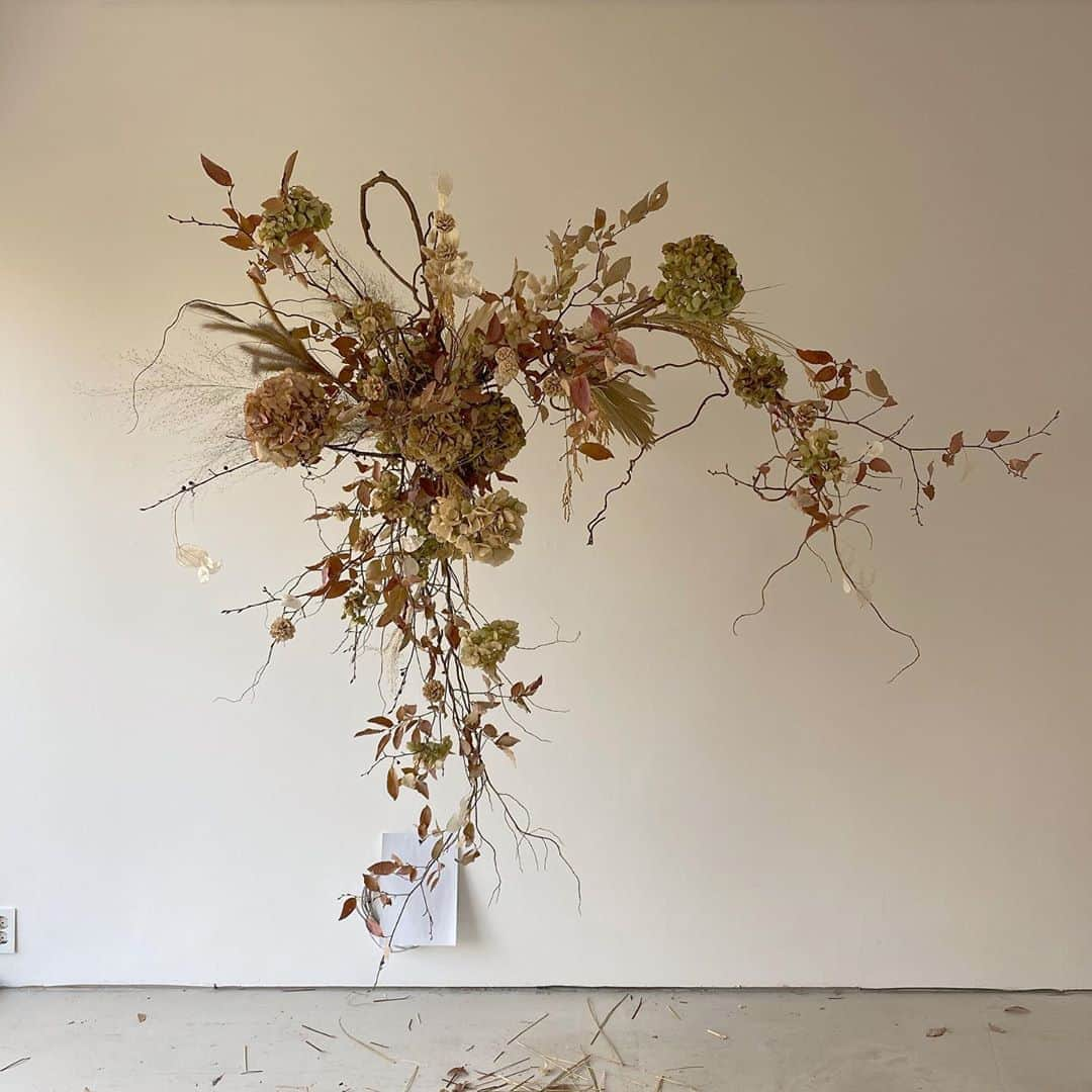 플로리스트 이주연 florist Lee Ju Yeonさんのインスタグラム写真 - (플로리스트 이주연 florist Lee Ju YeonInstagram)「. . Hanging installation . 작업하는 과정 모두 아름다웠던 행잉  선과 여백을 살리고 계절감을 담아낸 장식 . #행잉플라워 #행잉장식 #공간장식  #Hanginginstallation 订花 WeChat ID vaness_flower 페이팔 결제 가능  클래스상시모집 당일꽃주문가능 . #수업문의 #주문예약 #lesson #Order  Katalk ID vaness52 WeChat ID vaness_flower E-mail vanessflower@naver.com . 서초구 양재천로 123 5층 📞02-545-6813 . #vanessflower #florist #flowershop #handtied #flowerlesson #花束 #바네스플라워 #꽃다발 #부케 #플로리스트학원 #플라워레슨 #양재동꽃집 #양재역꽃집 #꽃다발주문 #꽃수업 #꽃주문  #대관 #공간대여 #스튜디오대관 #자연광스튜디오 #자연광스튜디오대관」11月7日 15時46分 - vanessflower