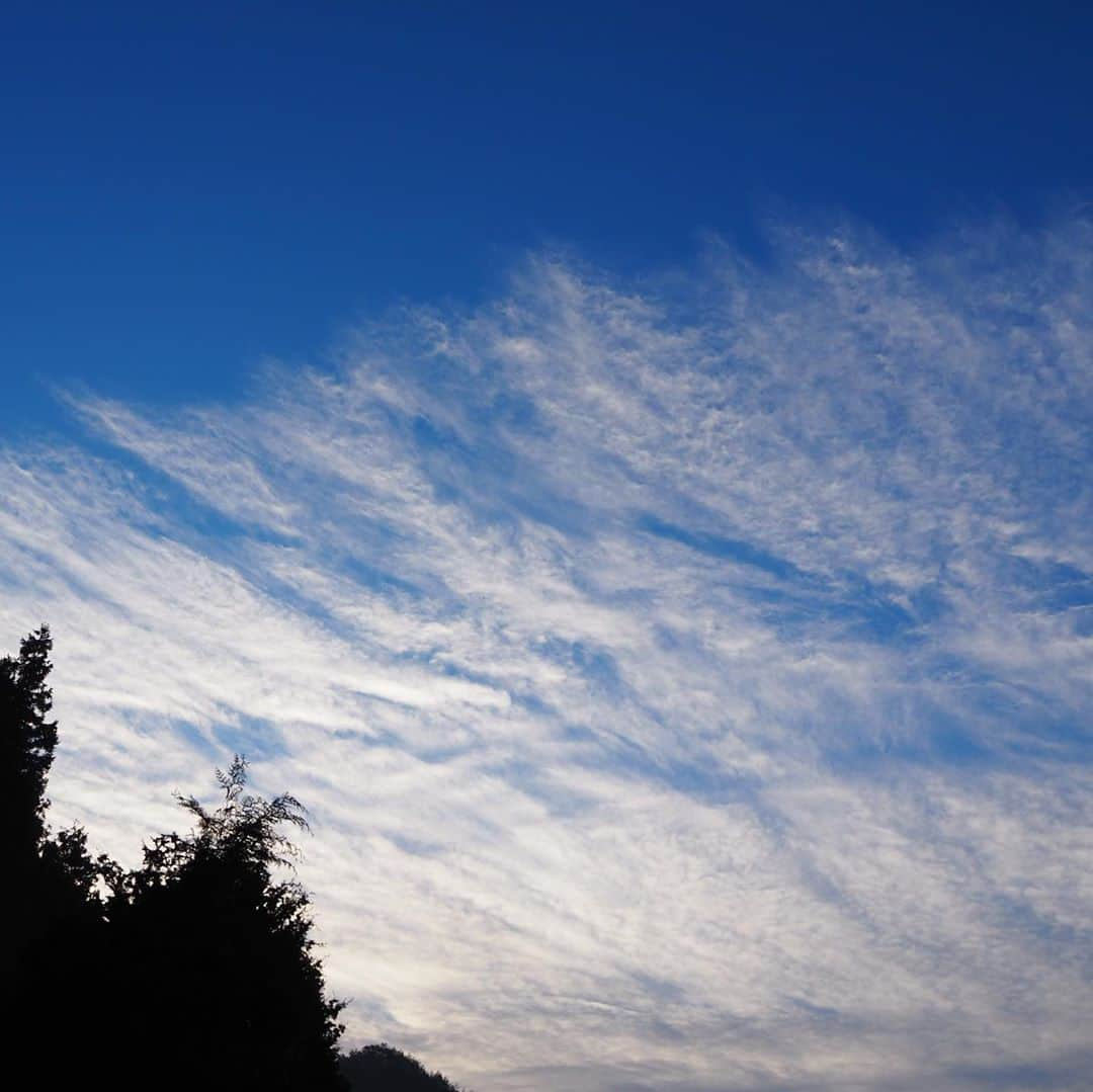 久保咲玖良さんのインスタグラム写真 - (久保咲玖良Instagram)「今朝の空🌥  なに雲なんだろう…？  #久保咲玖良 #太田プロ #女優 #女優の卵 #ミラーレス一眼 #ミラーレス一眼初心者 #カメラ女子 #オリンパスペン  #olympuspenepl9  #空 #秋空 #雲」11月7日 7時12分 - sakura__4141