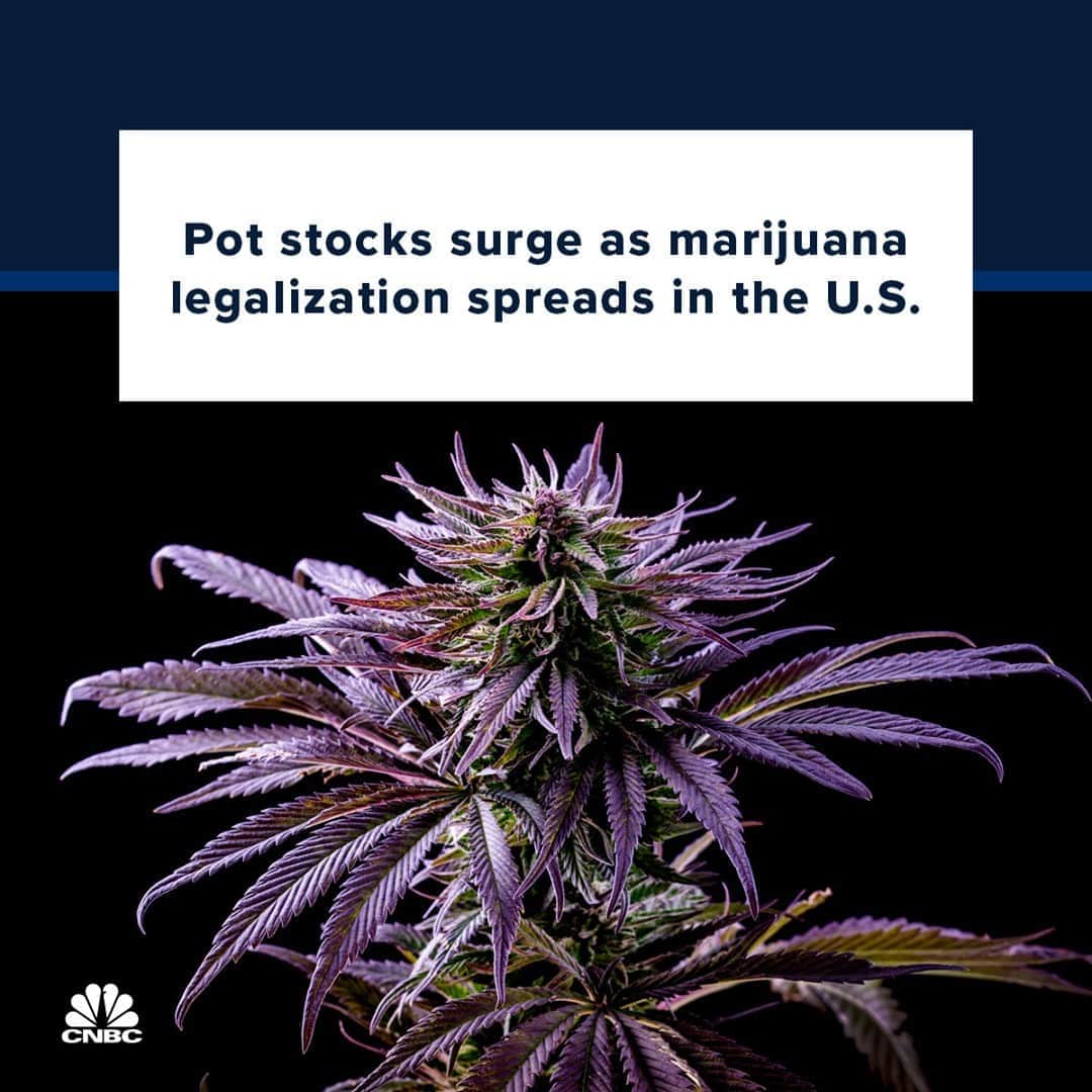 CNBCさんのインスタグラム写真 - (CNBCInstagram)「Pot stocks got high on Friday. 😏⁠ ⁠ Aurora Cannabis led the way with a furious climb of more than 56% on Friday, bringing the stock's gain since Election Day to nearly 100%. Tilray and Canopy Growth surged by roughly 23% and 11%, respectively, on Friday.⁠ ⁠ Five states legalized some form of marijuana use on Tuesday, including Arizona, New Jersey and Mississippi, according to NBC News. Voters in Oregon also chose to remove jail time as a punishment for small possession of some other drugs, including cocaine.⁠ ⁠ Full story at the link in bio.」11月7日 7時30分 - cnbc