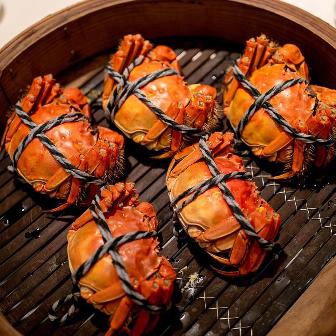 武井義明のグルメインスタ