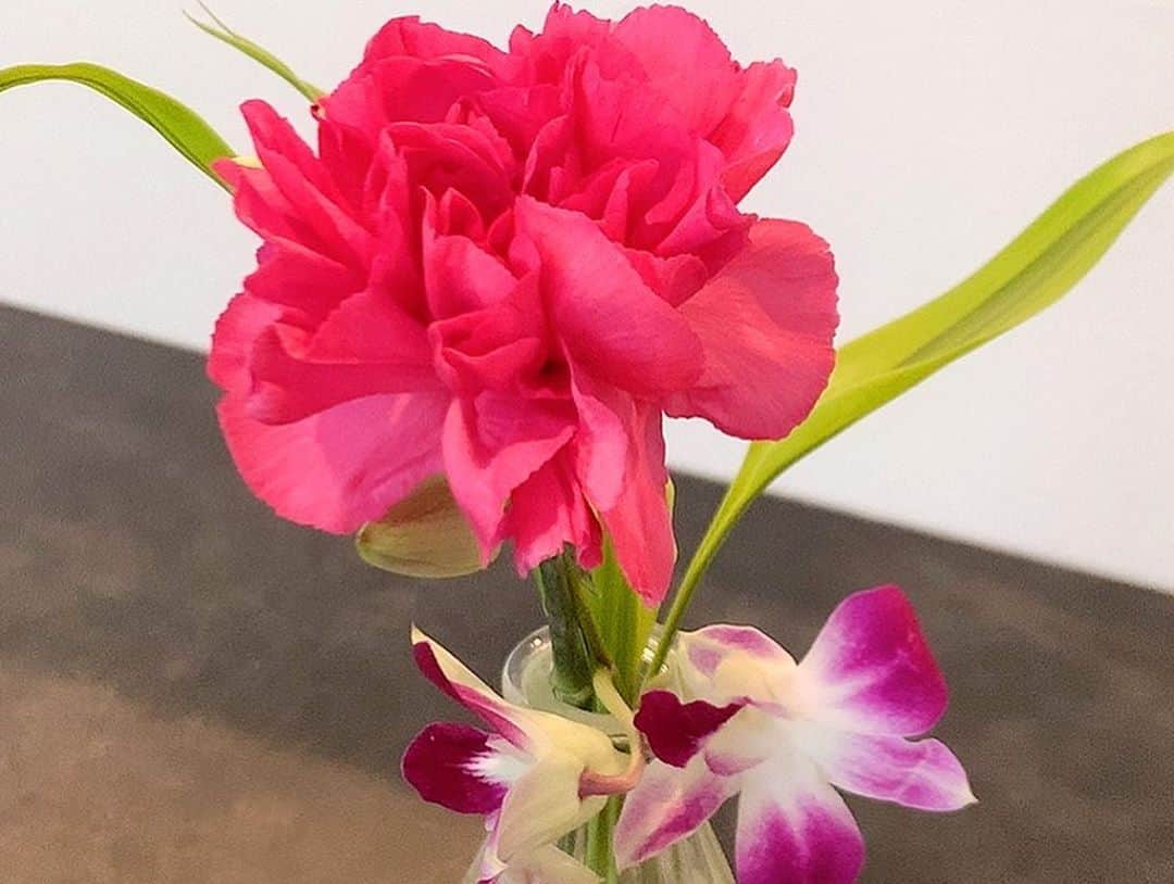 大知めぐみさんのインスタグラム写真 - (大知めぐみInstagram)「ポストに届くお花の定期便🌷✨ #bloomeelife さんからお花届きました💗 . #お花で作る自分だけのくつろぎ空間 ⸜🌷︎⸝‍ . 今回のお花は… 🌼カーネーション 🌼サンデリアーナゴールド 🌼デンファレ . ピンクのカーネーションが可愛い☺️💗😳 モノトーンハウスの我が家に、パッと明るいお花が咲きました☺️🌷.* . 花言葉や、お手入れの仕方も教えてくれたり、栄養剤もついてるので、本当にお花が長持ちして、毎回違うお花で楽しませてくれます💗 . 週末に届く小さなトキメキが本当に癒し☺️💕 . ご紹介のクーポンコードを使って始めると初回のお花お届けが無料になります♡\(*ˊᗜˋ*)/♡ DMで、クーポン使わせて貰いましたー!!✨とご連絡頂くことが多く、皆さんとこのホッコリ感を共有出来て嬉しいです☺️💕 . 毎日にちょっとした贅沢を☺️💗 500円～始められるので、お花のある生活を体験してみて下さい🌼💕 . 🌼クーポンコード：megmy 🌼有効期限：2020年11月30日 . . . . . #お花のある暮らし #お花#花#サブスクリプション #サブスク #pr#花瓶#華#花のある暮らし #flowers #お花好きな人と繋がりたい #followｍe #癒し#癒しの時間 #女の子ママ #子供のいる暮らし #赤ちゃんのいる生活 #赤ちゃんのいる暮らし #ニューボーンフォト #newbornphotography #主婦#主婦の楽しみ #自分へのご褒美  #マイホーム #newbornphotography #ニューボーンフォト」11月7日 7時50分 - megmeg0715