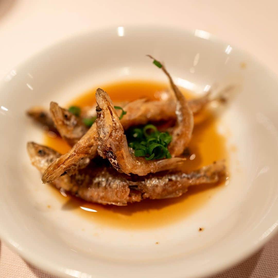 武井義明さんのインスタグラム写真 - (武井義明Instagram)「蟹じゃないものもたくさん食べました。」11月7日 7時50分 - bebechef