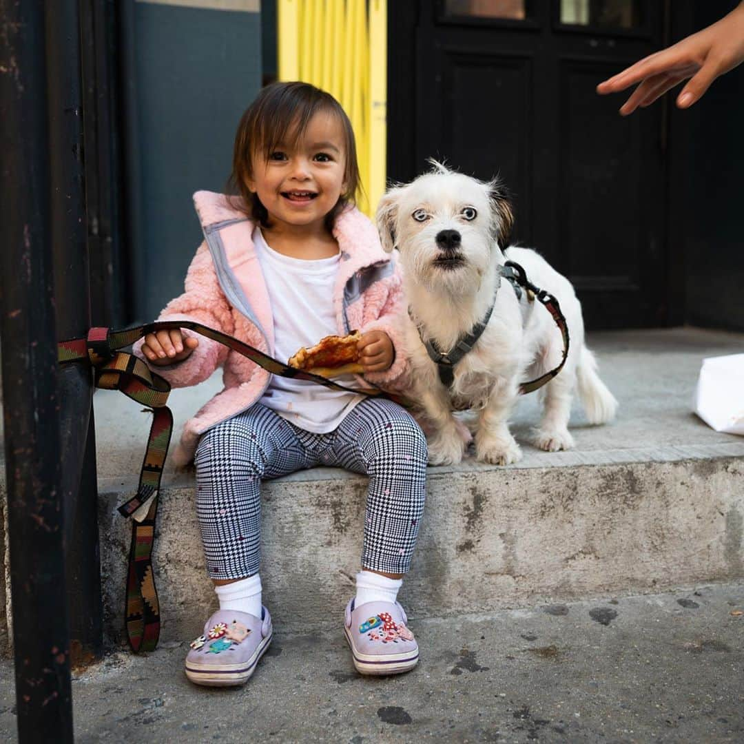 The Dogistさんのインスタグラム写真 - (The DogistInstagram)「Lily, Shih Tzu/Poodle/Chihuahua/Jack Russell Terrier mix (4 y/o), Bedford & N 7th St., Brooklyn, NY • “She loves bananas and her best friend is a cat named Charlie.”」11月7日 7時57分 - thedogist