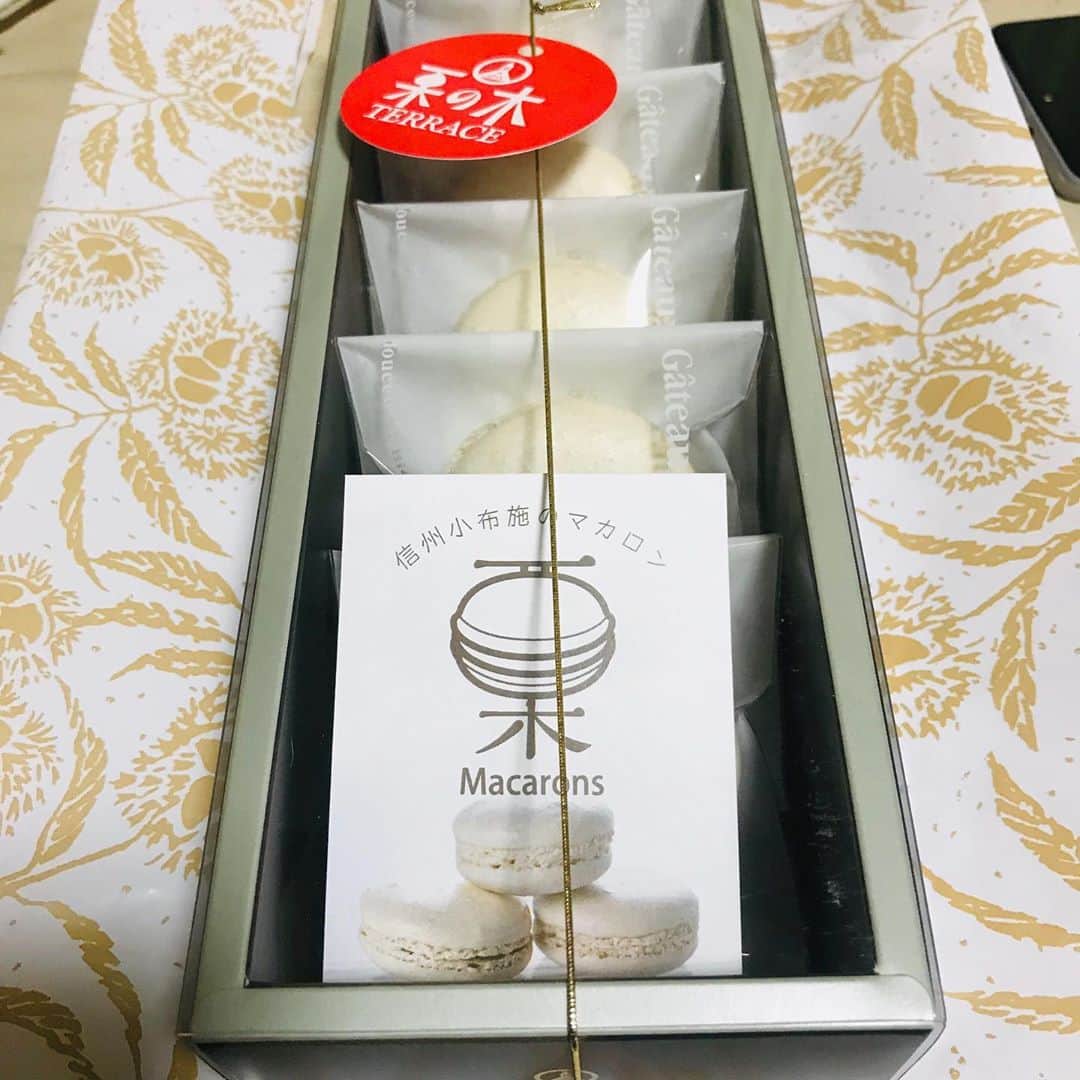 Q太郎のインスタグラム
